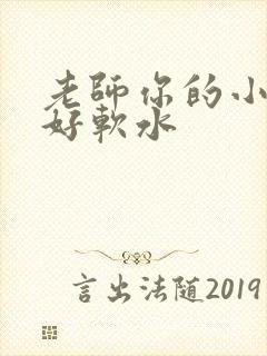 老师你的小兔子好软水