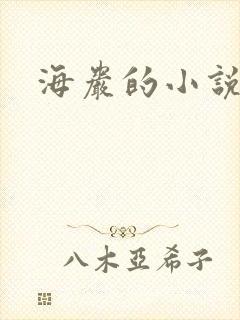 海岩的小说