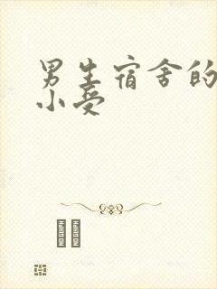 男生宿舍的公共小受