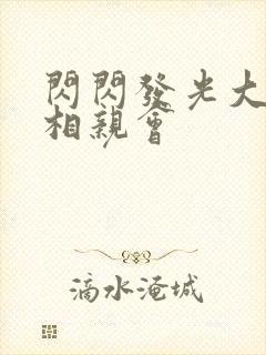 闪闪发光大团圆相亲会