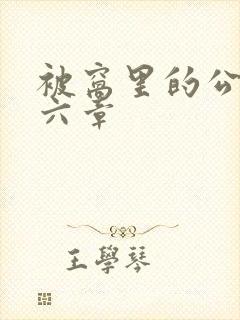 被窝里的公息十六章