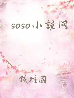 soso小说网
