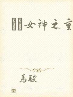 鹡鸰女神之重生