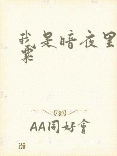 我是暗夜里的罂粟