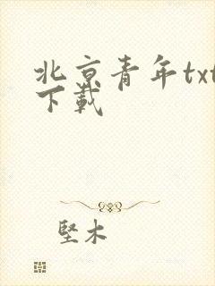 北京青年txt下载
