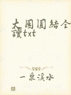 大团圆结全文阅读txt