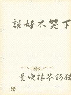 说好不哭下载