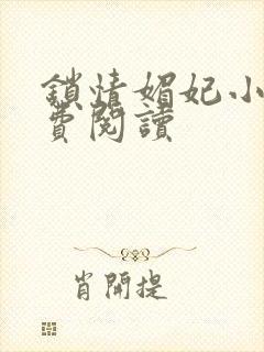 锁情媚妃小说免费阅读