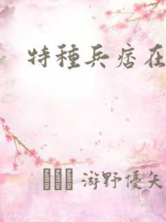 特种兵痞在都市