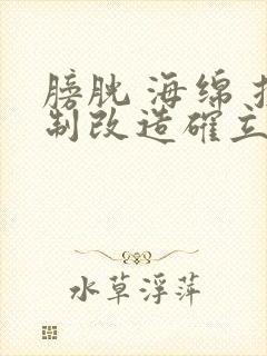 膀胱 海绵 控制改造确立m