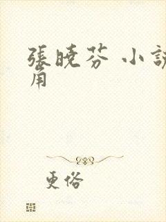 张晓芬 小说主角