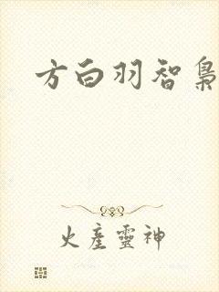 方白羽智枭