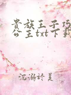 贵族王子巧遇穷公主txt下载