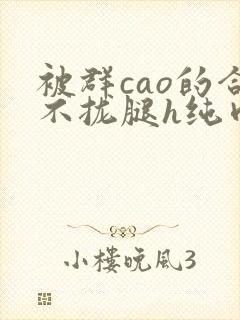 被群cao的合不拢腿h纯肉视频