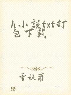 h小说txt打包下载