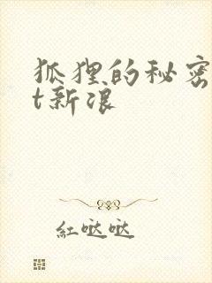 狐狸的秘密txt新浪