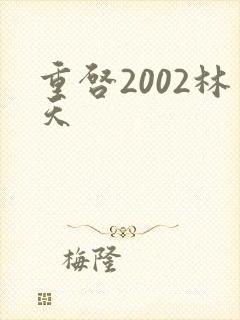 重启2002林天