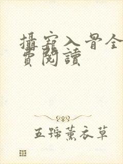 摄宠入骨全文免费阅读