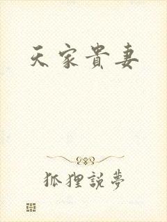 天家贵妻