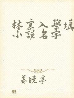 林寒入学填未婚小说名字