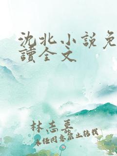 沈北小说免费阅读全文