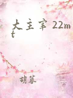 大主宰 22mt