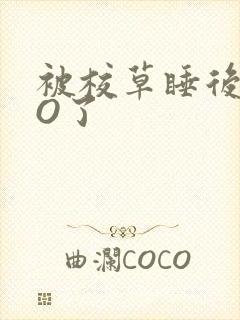 被校草睡后我变O了