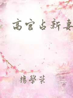 高官占新妻