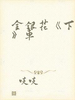 金银花《下厨房》车