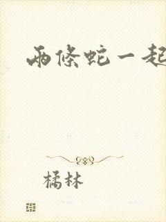 两条蛇一起要我