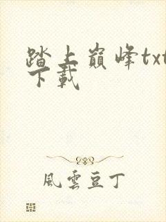 踏上巅峰txt下载