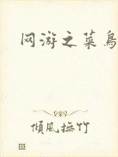 网游之菜鸟江湖