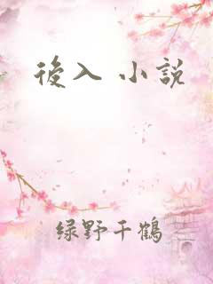 后入 小说