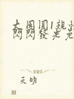 大团圆1亲情会闪闪发光免费