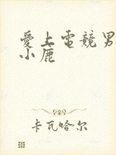 爱上电竞男神林小鹿