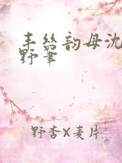 丰丝韵母沈蓉书野笔