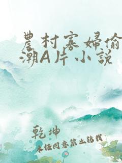 农村寡妇偷人高潮A片小说