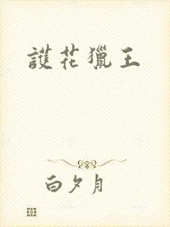 护花猎王