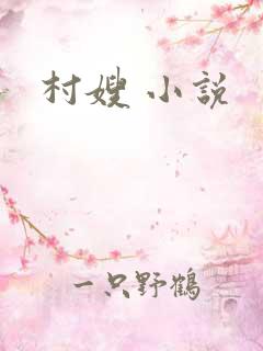 村嫂 小说