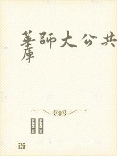 华师大公共数据库