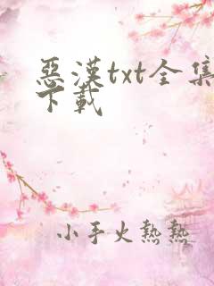 恶汉txt全集下载