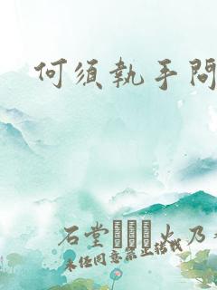 何须执手问年华