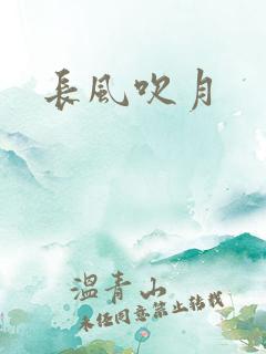 长风吹月
