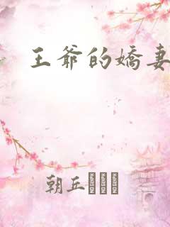 王爷的娇妻