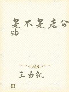 是不是老公的小sb