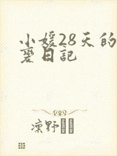 小媛28天的剧变日记