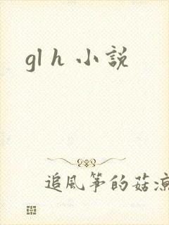 gl h 小说