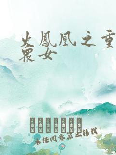 火凤凰之重生干众女