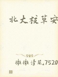 北大校草安允泽