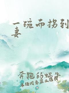 一碗面拐到美艳妻